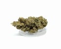 CBD Kwiaty Konopi "Critical" 0,3 g