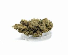 CBD Kwiaty Konopi 