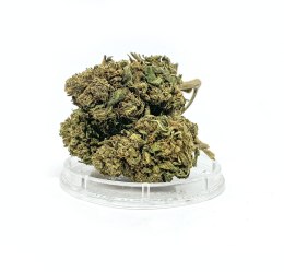 CBD Kwiaty Konopi 