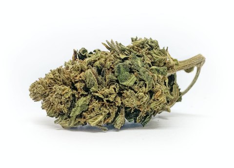 CBD Kwiaty Konopi "Forest Kush" 3,5 g - SPECIAL EDITION