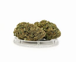 CBD Kwiaty Konopi 
