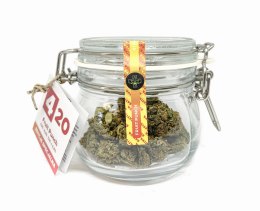 CBD Kwiaty Konopi 