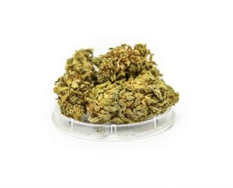 CBD Kwiaty Konopi 