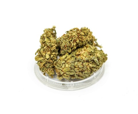 CBD Kwiaty Konopi "Gorilla Glue" 2 g