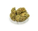 CBD Kwiaty Konopi "Gorilla Glue" 4,20 g