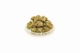CBD Kwiaty Konopi 