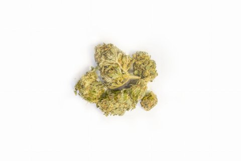 CBD Kwiaty Konopi "Harlequin" 1 g