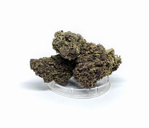 CBD Kwiaty Konopi "Purple Bomb" 0,3 g