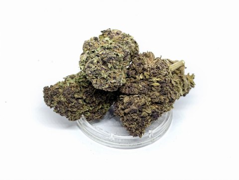 CBD Kwiaty Konopi "Purple Bomb" 0,3 g