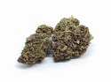 CBD Kwiaty Konopi "Purple Bomb" 0,3 g