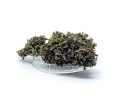 CBD Kwiaty Konopi "Purple Haze" 4,20 g