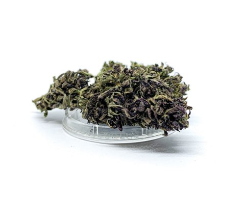 CBD Kwiaty Konopi "Purple Haze" 4,20 g