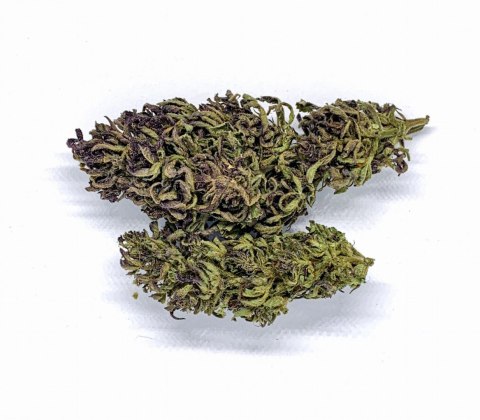 CBD Kwiaty Konopi "Purple Haze" 4,20 g