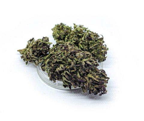 CBD Kwiaty Konopi "Purple Haze" 4,20 g