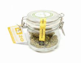 CBD Kwiaty Konopi 