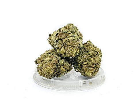 CBD Kwiaty Konopi "Sweet Melon" 1 g