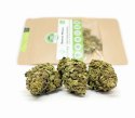 CBD Kwiaty Konopi "Sweet Melon" 1 g