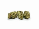 CBD Kwiaty Konopi "Sweet Melon" 4,20 g