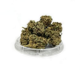 CBD Kwiaty Konopi 