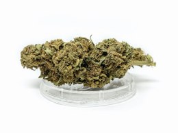CBD Kwiaty Konopi 