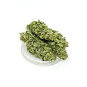 CBG Kwiaty Konopi "CBGold" 4,20 g