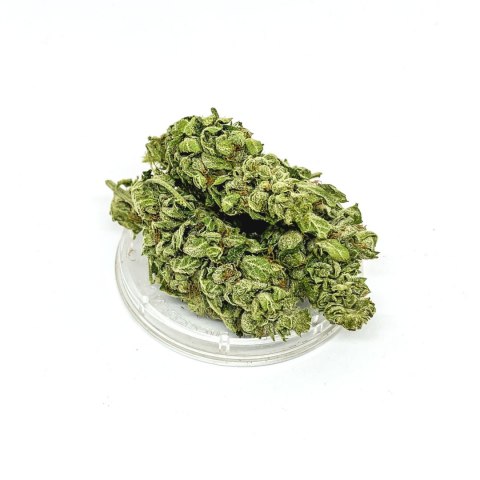 CBG Kwiaty Konopi "CBGold" 4,20 g