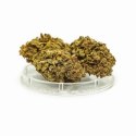 ENERGY CBD Kwiaty Konopi Orange Bud 4,20 g