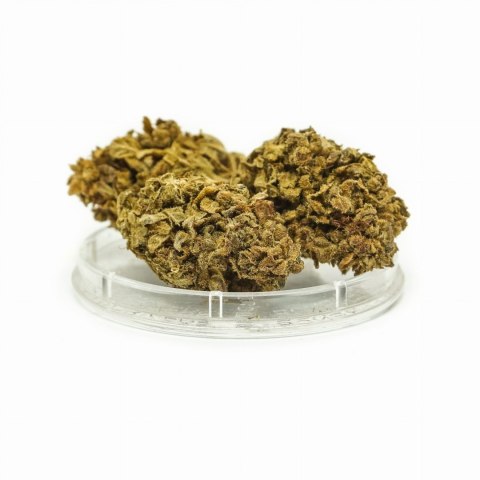 ENERGY CBD Kwiaty Konopi Orange Bud 4,20 g