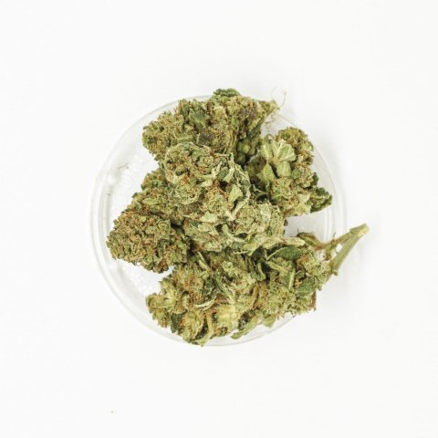 RELAX Amnesia Susz CBD 1 g