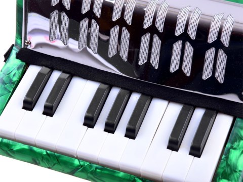 Duży muzyczny akordeon dla dzieci harmonia