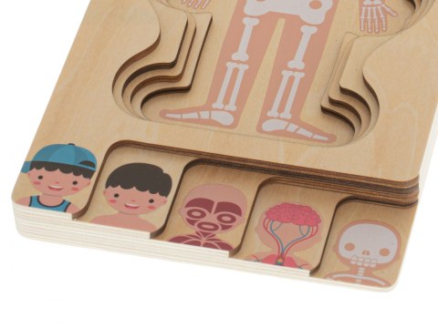 PUZZLE DREWNIANE WARSTWOWE BUDOWA CIAŁA MONTESSORI CHŁOPIEC