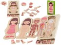 PUZZLE DREWNIANE WARSTWOWE BUDOWA CIAŁA MONTESSORI DZIEWCZYNKA