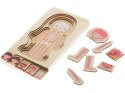 PUZZLE DREWNIANE WARSTWOWE BUDOWA CIAŁA MONTESSORI DZIEWCZYNKA