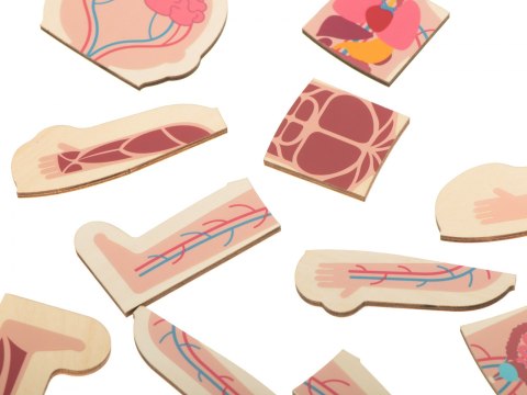 PUZZLE DREWNIANE WARSTWOWE BUDOWA CIAŁA MONTESSORI DZIEWCZYNKA