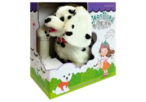 DALMATYŃCZYK SMYCZ STEROWANY PILOT KOŚĆ