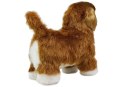 INTERAKTYWNY PIES CAvALIER SPANIEL PORUSZA SIĘ, SZCZEKA