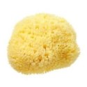 Gąbka morska organiczna Beaming Baby