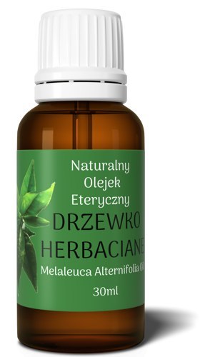 Olejek Eteryczny z DRZEWKA HERBACIANEGO