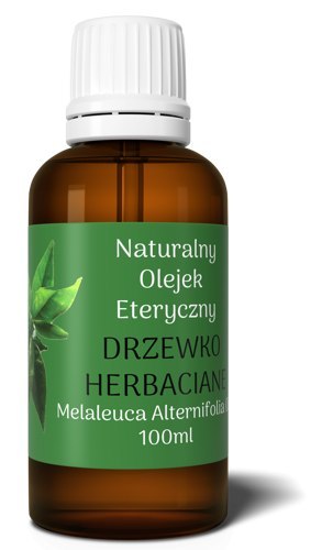 Olejek Eteryczny z DRZEWKA HERBACIANEGO