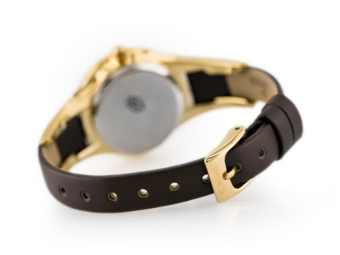 ZEGAREK G. ROSSI - KAYLE (zg624q) + BOX