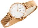 ZEGAREK DAMSKI DANIEL WELLINGTON DW00100219 - PETITE MELROSE (zx705a)