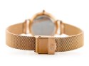 ZEGAREK DAMSKI DANIEL WELLINGTON DW00100219 - PETITE MELROSE (zx705a)