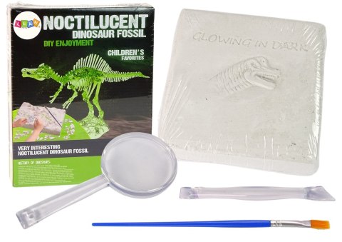 ZestawArcheologiczny Wykopaliska Dinozaur Szkielet