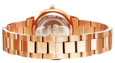 Zegarek Damski Daniel Wellington DW00100209