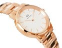 Zegarek Damski Daniel Wellington DW00100211