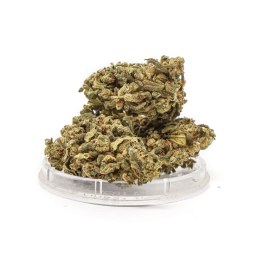 CBD Kwiaty Konopi 