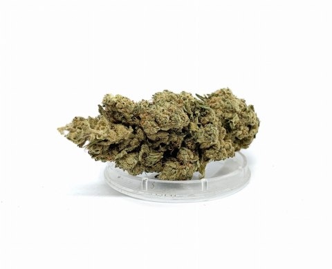 Kwiaty konopi CBD "SUPER SILVER HAZE" 1 g