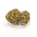 CBD Kwiaty Konopi "AMAZING HAZE" 1 g