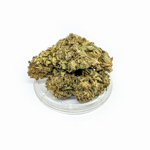 CBD Kwiaty Konopi "OG KUSH" 1 g