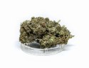 CBD Kwiaty Konopi " SUPER JAMAICA" 1 g